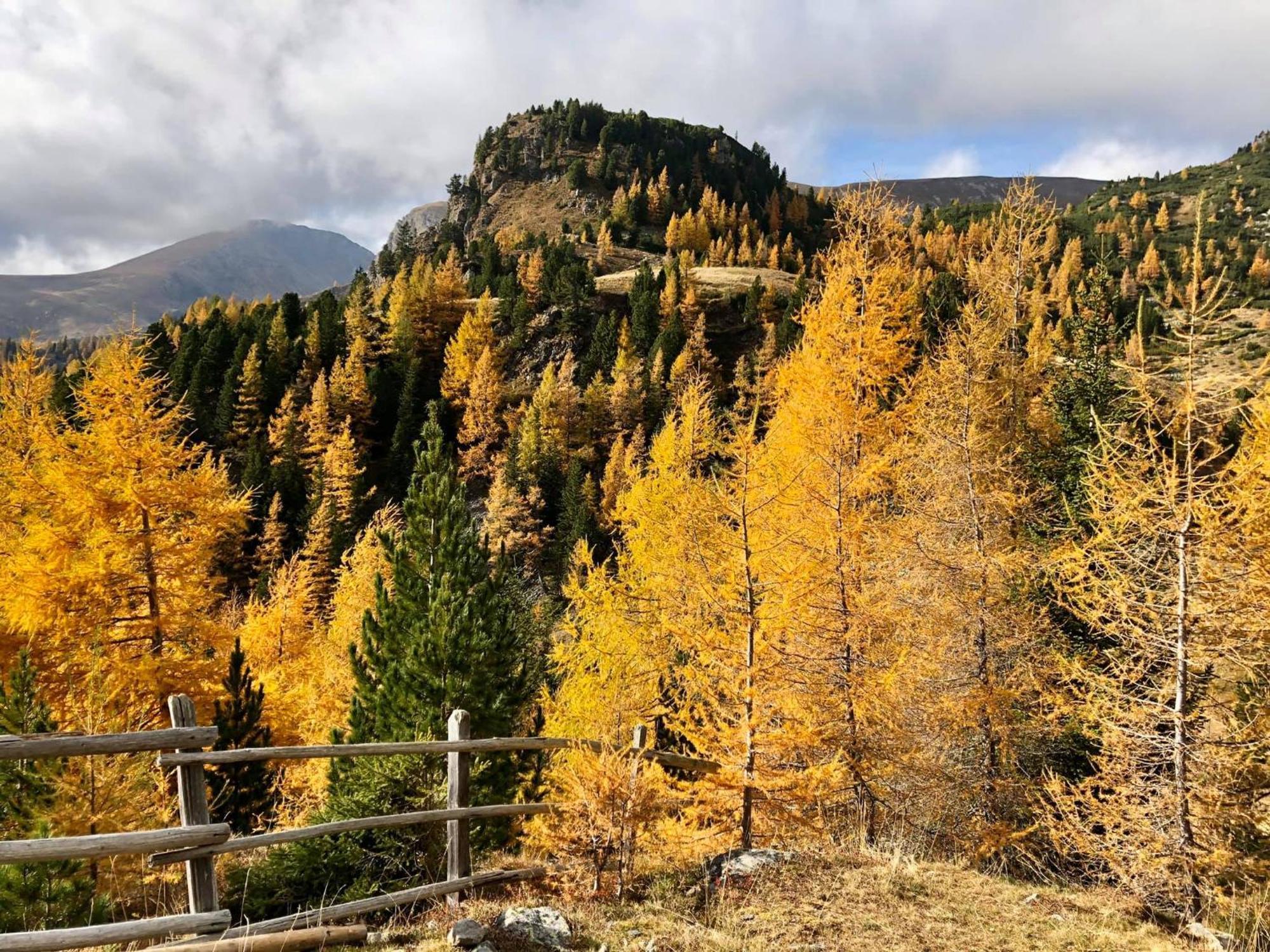 Genusshotel Almrausch Bad Kleinkirchheim Dış mekan fotoğraf