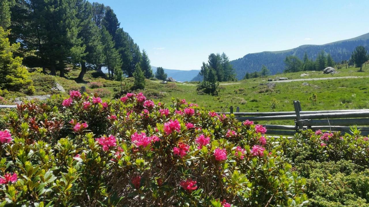 Genusshotel Almrausch Bad Kleinkirchheim Dış mekan fotoğraf